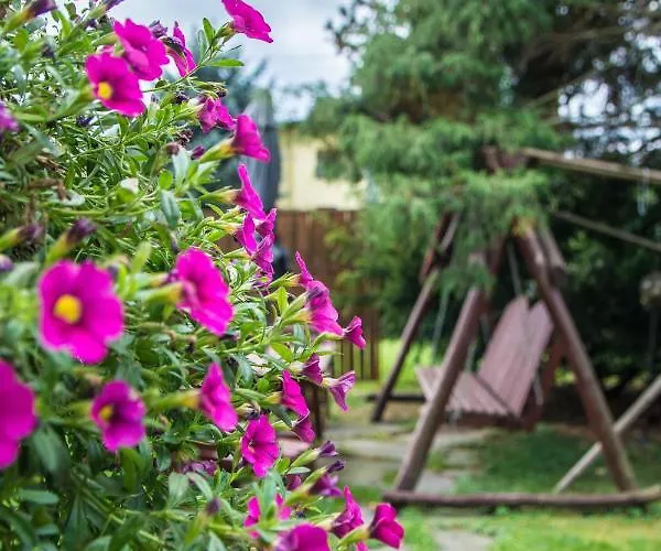 Zosienka - Goscinne *