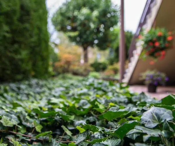 Zosienka - Goscinne * ויסלאו