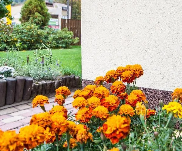 בית אירוח Zosienka - Goscinne